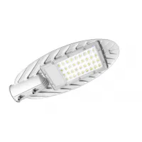 LED ліхтар вуличний VIDEX  30W 5000K (VL-SLe-305W)