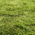 Штучна трава Bellinturf Rainbow 40