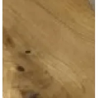 neutral