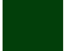 6005 RAL 