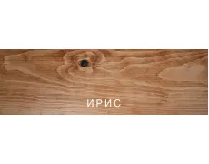 ірис