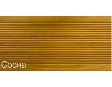 сосна
