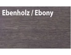 ібони