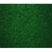 Ковролін виставковий MSC Expo Salsa 200 зелений