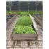 Теплі грядки ДПК готовий комплект 3Д 550х1000 мм