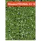 Мозаїчна штукатурка Feromal mosaikputz 215