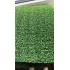 Штучна трава Landgrass Natura 10