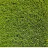 Штучна трава Prettie Grass Magnolia 20
