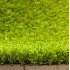Штучна трава Prettie Grass Magnolia 20