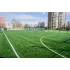 Штучна трава Bellinturf Rainbow 40