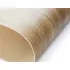 Лінолеум комерційний Lentex Pionieer Jackson S44 633-05 Лінолеум комерційний Lentex Pionieer Jackson S44 633-05