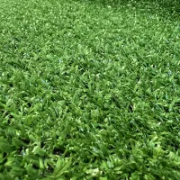 Штучна декоративна трава для вулиці Congrass Bessarabia 7