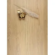 Вінілова SPC підлога Barlinek Next Step Idea Gold Oak 5+1 (з підкладкою) 