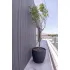 Рейка фасадна ДПК Teack black