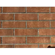 Гнучка цегла на сітці із захисною плівкою E-brick Betar