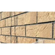 Гнучка цегла на сітці із захисною плівкою E-brick Dolmit
