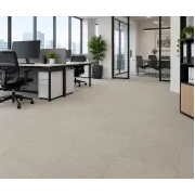 Килимова плитка Carpenter Mevo упаковка 5 м² 33 клас| 2570 бежевий Килимова плитка Carpenter Mevo упаковка 5 м² 33 клас| 2570 бежевий