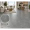 Лінолеум комерційний Lentex Pionieer Regina S94 604-08