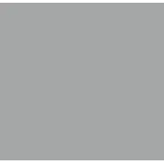 9006RAL 